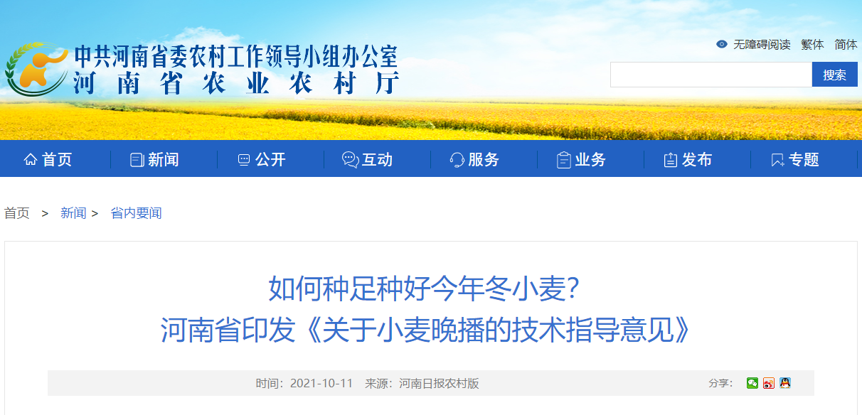 如何種足種好今年冬小麥？ 河南省印發(fā)《關(guān)于小麥晚播的技術(shù)指導(dǎo)意見》