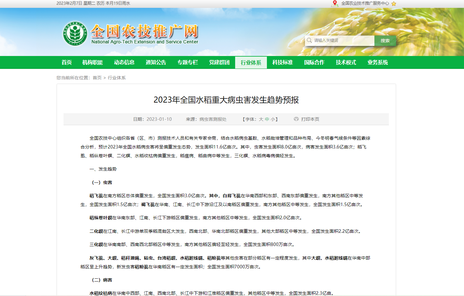 2023年全國(guó)水稻重大病蟲害發(fā)生趨勢(shì)預(yù)報(bào)