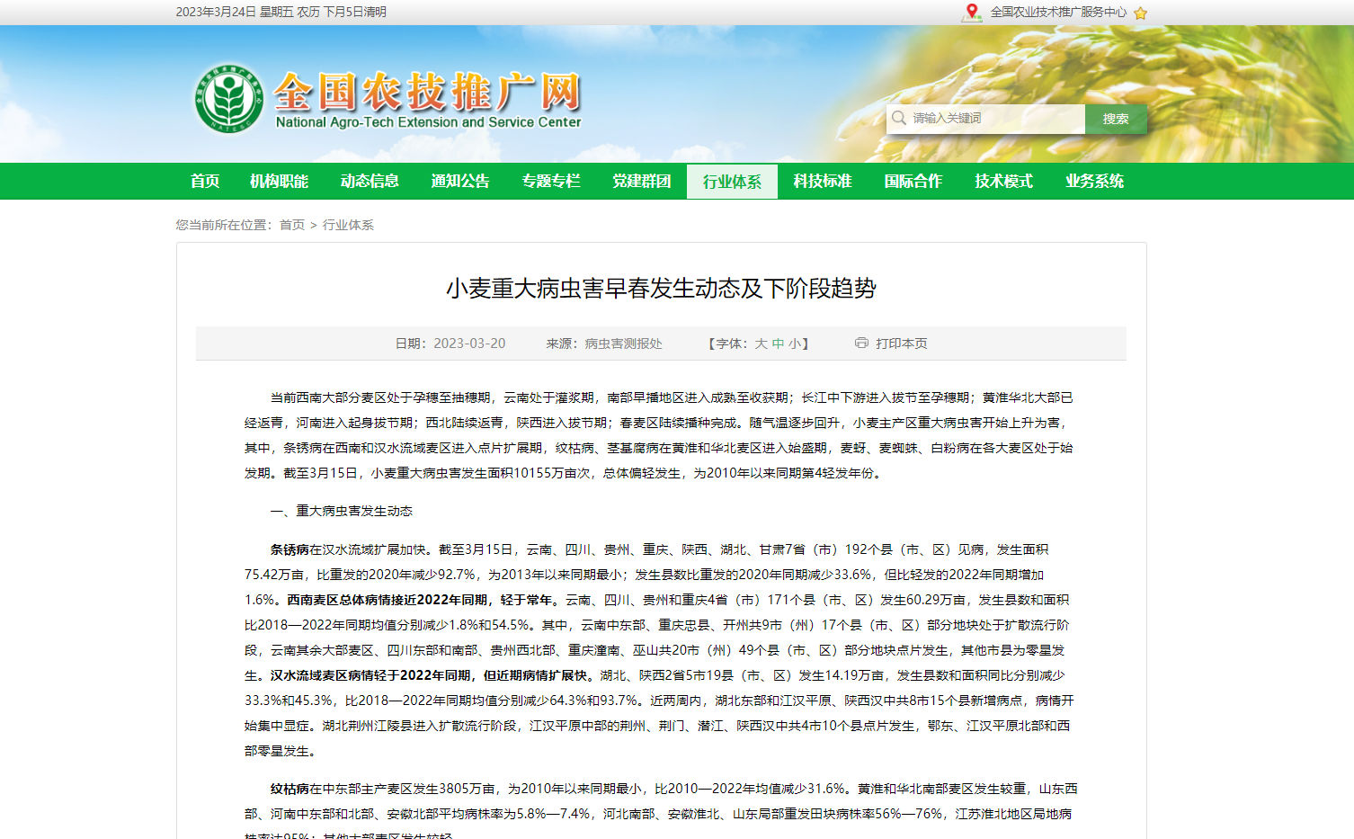 小麥重大病蟲害早春發(fā)生動(dòng)態(tài)及下階段趨勢