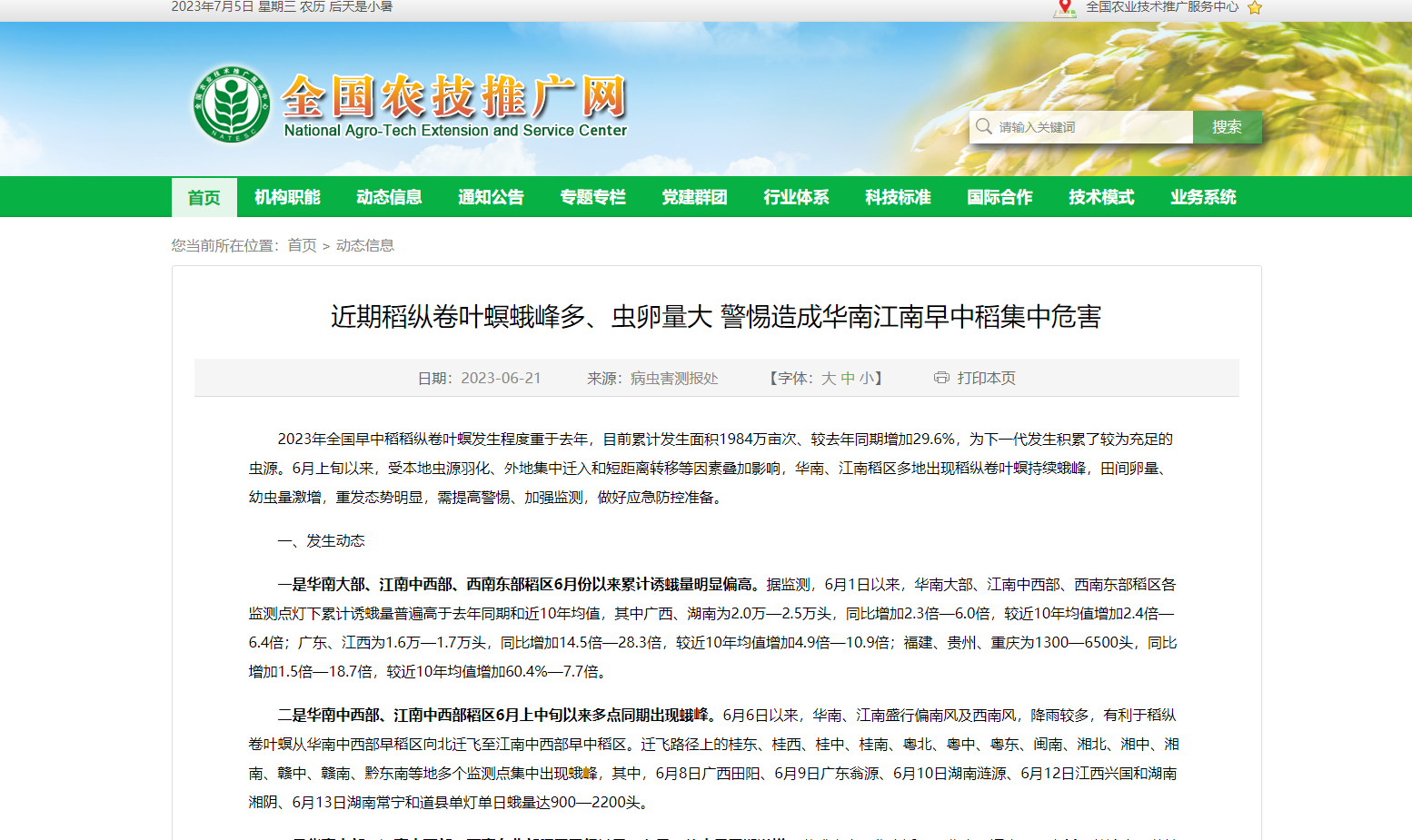 近期稻縱卷葉螟蛾峰多、蟲卵量大 警惕造成華南江南早中稻集中危害